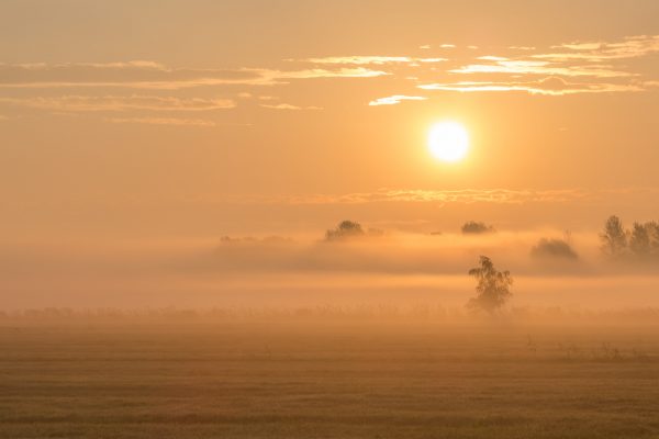 Sonneaufgang mit Nebel