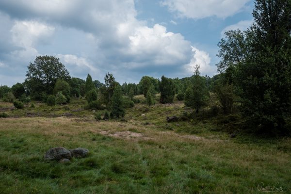 Steingrund in der Lüneburger Heide